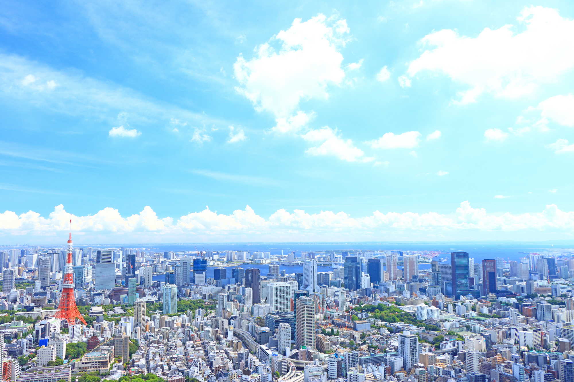pixta_119559668_M